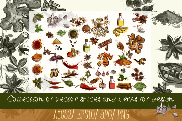 Collection of Spices Illustrations Review