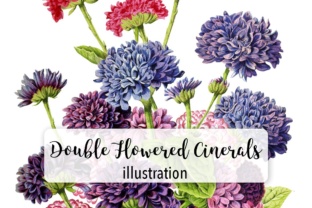 Double Flowered Cinerals: Brand Illustrations Review