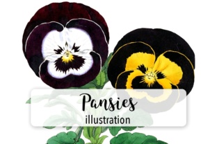 Flowers Vintage Pansies: A Designer's Review