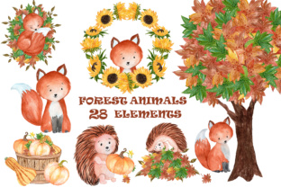 Forest Animals Clipart and Illustrations