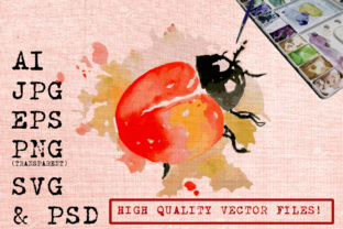 Ladybug Watercolors Illustrations Review