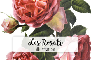 Les Rosati Illustrations Review for Sellers