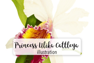 Princess Ulika Cattleya: Royal Illustrations