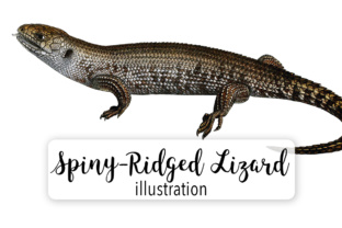 Spiny Ridged Lizard: A Designer's Embroidery Review
