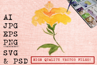 Yellow Hibiscus Flowers Watercolors Illustrations